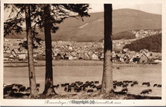 0370A-Braunlage249-Panorama-Ort-Kuhherde-Scan-Vorderseite.jpg