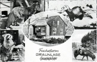 1780A-Braunlage239-Gasthaus-Fuchsfarm-1962-Umgebung-Scan-Vorderseite.jpg