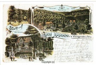 2490A-Wernigerode259-Multibilder-Hotel-Muehlenthal-Litho-Nachdruck-Scan-Vorderseite.jpg