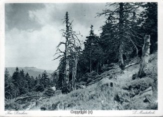 5870A-Brocken167-Brockenlandschaft-Scan-Vorderseite.jpg