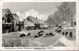 19542A-BadHarzburg506-Molkenhaus-Wildfuetterung-Winter-Scan-Vorderseite.jpg