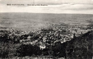 00354A-BadHarzburg496-Panorama-Ort-Scan-Vorderseite.jpg