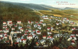 00384A-BadHarzburg498-Panorama-Ort-Scan-Vorderseite.jpg