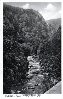 0306A-Bodetal356-Bode-Scan-Vorderseite.jpg