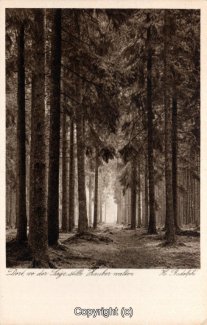 22570A-HarzDiverse211-Landschaft-Scan-Vorderseite.jpg