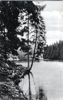 22640A-HarzDiverse210-Waldsee-Scan-Vorderseite.jpg