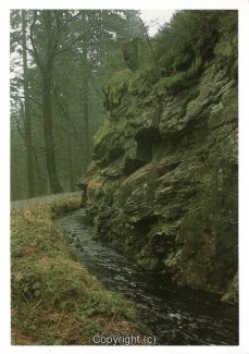 20052A-HarzDiverse186-Oberharzer-Wasserregal-Rehberger-Graben-Scan-Vorderseite.jpg
