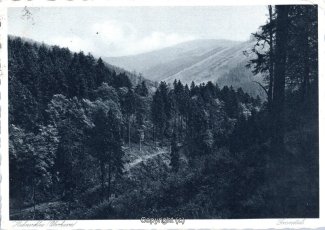25090A-Hahnenklee404-Granetal-1929-Scan-Vorderseite.jpg
