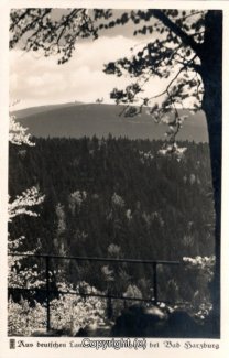 22240A-BadHarzburg512-Mux-Klippe-Scan-Vorderseite.jpg