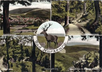 45900A-BadHarzburg530-Multibilder-Ort-Scan-Vorderseite.jpg