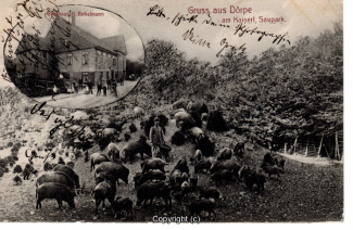 0005A-Doerpe134-Multibilder-Wildschweine-Bokelmann-1910-Scan-Vorderseite.jpg