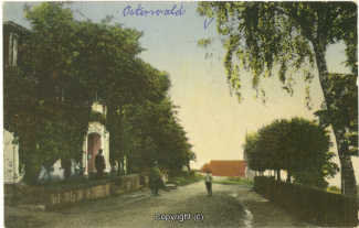 0130A-Osterwald224-Fichtenwirt-1913-Scan-Vorderseite.jpg
