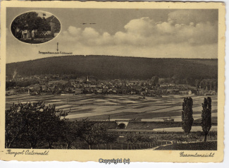 0160A-Osterwald267-Fichtenwirt-1933-Scan-Vorderseite.jpg