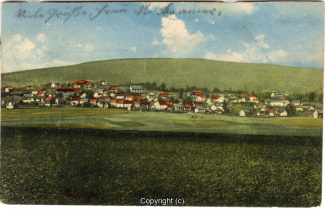 0820A-Osterwald301-Panorama-Litho-1905-Scan-Vorderseite.jpg