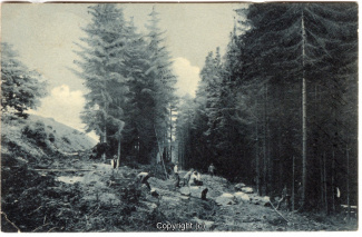 1320A-Osterwald277-Osterwald-1910-Scan-Vorderseite.jpg