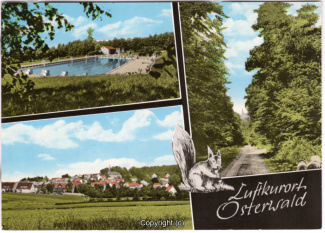 1590A-Osterwald308-Multibilder-Ort-Scan-Vorderseite.jpg