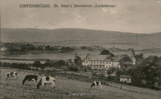 1082A-Coppenbruegge381-Lindenbrunn-1916-Scan-Vorderseite.jpg