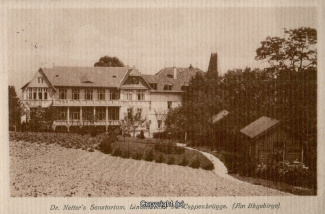 1620A-Coppenbruegge399-Lindenbrunn-1911-Scan-Vorderseite.jpg