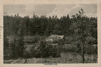 0230A-Sennhuette116-Panorama-1925-Scan-Vorderseite.jpg