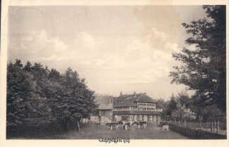 0385A-Sennhuette109-Panorama-mit-Kuehen-1937-Scan-Vorderseite.jpg