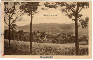 0677A-Salzhemmendorf244-Panorama-1916-Scan-Vorderseite.jpg