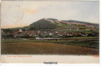 0755A-Salzhemmendorf254-Panorama-1905-Scan-Vorderseite.jpg