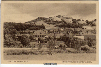 0795A-Salzhemmendorf256-Panorama-1926-Scan-Vorderseite.jpg