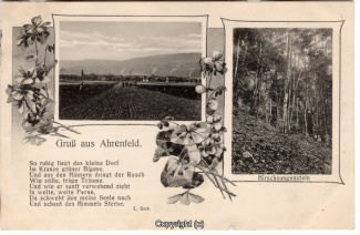 1010A-Ahrenfeld001-Multibilder-1918-Scan-Vorderseite.jpg
