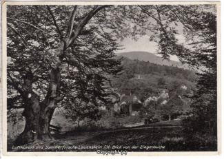 0770A-Lauenstein383-Panorama-Ziegenbuche-1933-Scan-Vorderseite.jpg
