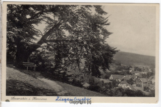 0790A-Lauenstein347-Panorama-Ziegenbuche-1937-Scan-Vorderseite.jpg