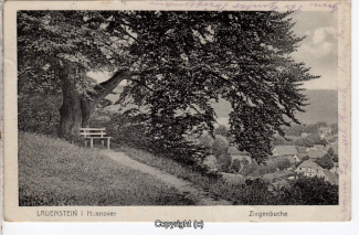 0795A-Lauenstein265-Ziegenbuche-1920-Scan-Vorderseite.jpg