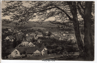 0810A-Lauenstein336-Panorama-Ziegenbuche-Scan-Vorderseite.jpg
