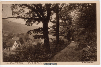 0920A-Lauenstein388-Panorama-Eichenallee-1929-Scan-Vorderseite.jpg