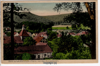0970A-Lauenstein268-Panorama-Burgwiesen-1920-Scan-Vorderseite.jpg