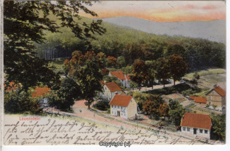 1205A-Lauenstein319-Panorama-1906-Scan-Vorderseite.jpg
