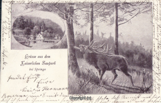 0320A-Holzmuehle194-Multibilder-mit-Hirsch-1900-Scan-Vorderseite.jpg