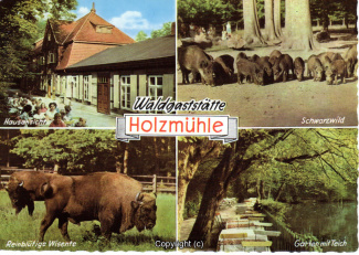 5240A-Holzmuehle284-Multibilder-Scan-Vorderseite.jpg