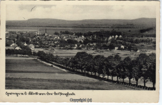 7310A-Springe393-Deisterpforte-Panorama-1942-Scan-Vorderseite.jpg