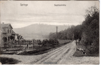 7880A-Springe414-Sophienhoehe-1910-Scan-Vorderseite.jpg