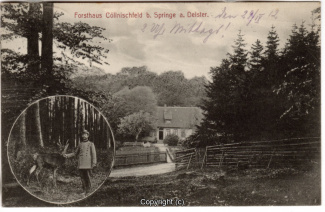 8010A-Springe434-Multibilder-Coellnischfeld-Reh-1912-Scan-Vorderseite.jpg