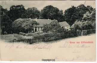 8050A-Springe425-Coellnischfeld-1899-Scan-Vorderseite.jpg