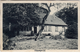 8080A-Springe444-Coellnischfeld-1907-Scan-Vorderseite.jpg