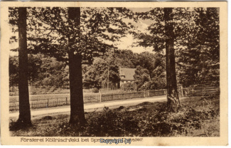 8720A-Springe449-Coellnischfeld-1925-Scan-Vorderseite.jpg