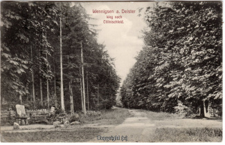 8780A-Springe455-Coellnischfeld-Weg-nach-1913-Scan-Vorderseite.jpg