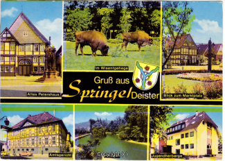 6710A-Springe491-Multibilder-Ort-1970-Scan-Vorderseite.jpg