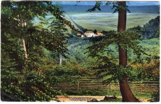 0740A-Saupark191-Schloss-Panorama-1924-Scan-Vorderseite.jpg