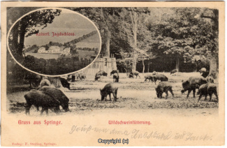 0810A-Saupark219-Multibilder-Schloss-Wildschweine-1901-Scan-Vorderseite.jpg