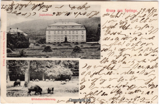 0820A-Saupark221-Multibilder-Schloss-Wildschweine-1903-Scan-Vorderseite.jpg
