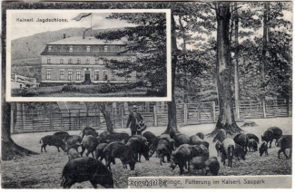 0850A-Saupark225-Multibilder-Schloss-Wildschweine-1911-Scan-Vorderseite.jpg