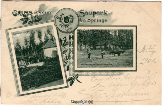 2240A-Saupark255-Multibilder-Morgenruh-Wildschweine-1901-Scan-Vorderseite.jpg